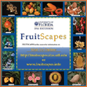 Small version of the FruitScapes free poster