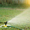 A sprinkler watering the lawn