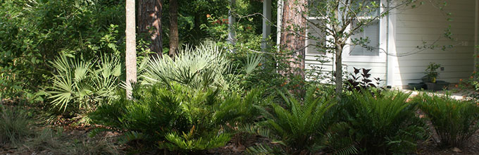 A naturalized mulched bed