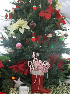 A fir tree decorated with poinsettias with a container full of candy canes in front