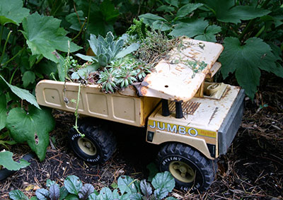 A succulent planted in a toy truck