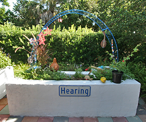 A raised garden bed with a sign that reads hearing