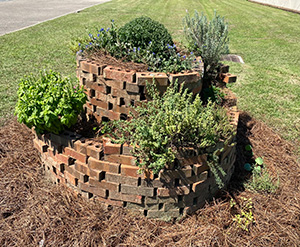 a two tiered brick spiral garden filled with green herb plants and pine straw mulch