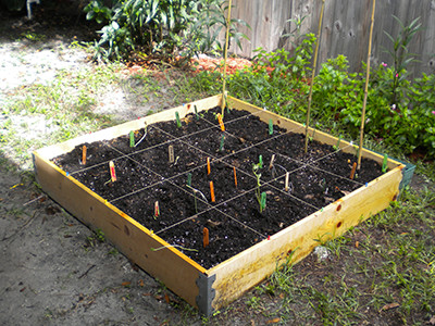 Raised planting bed divided into sixteen squares