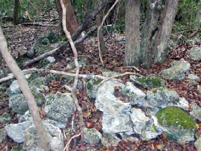 A rocky yet wooded area; photo courtesy of Kim Gabel, UF/IFAS Extension Monroe County