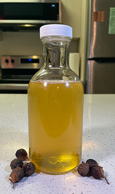 Small glass bottle of honey-colored liquid, with dried soapberry sitting nearby