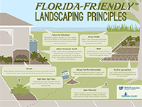 A graphic listing the nine Florida-Friendly principles