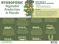 A graphic extoling the virtues of hydroponic gardening
