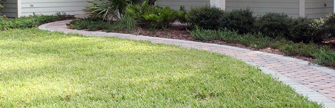 A Florida-Friendly lawn with turfgrass