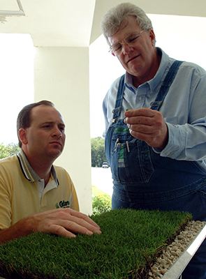 Two men closely inspecting a square of green turfgrass