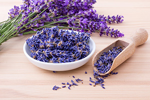 Dried purple lavender flowers in a bowl with a bouquet of fresh lavender behind it
