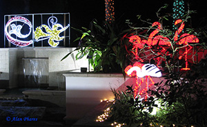 Holiday light display in a garden, including light up flamingos