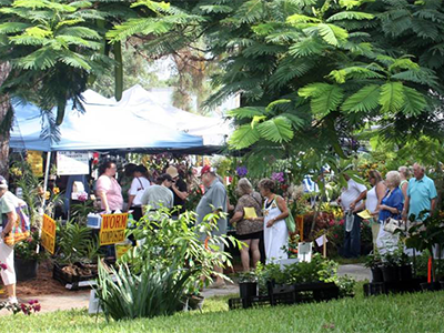 People shopping outdoors at a plant sale under white tents and tropical looking trees
