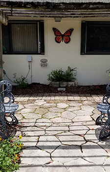 A view of a stone pathway leading to a shaded patio featuring a butterfly wall ornament