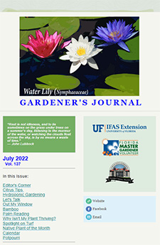 A screenshot of the newsletter feautures a large photo of waterlilies