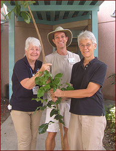 Volunteers with invasive carrotwood seedling