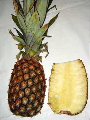 Pineapple fruit, split open