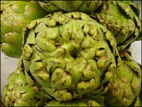 edible head of the artichoke
