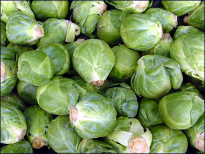 Edible heads of brussels sprouts