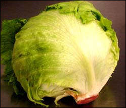 head of iceberg lettuce