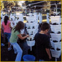 Students working in the hydroponic garden