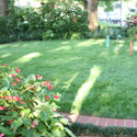 Photo of a small lawn